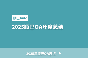 2025顺巴OA总结