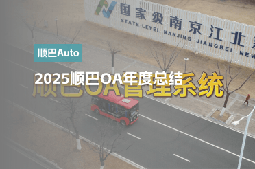 2025顺巴OA总结